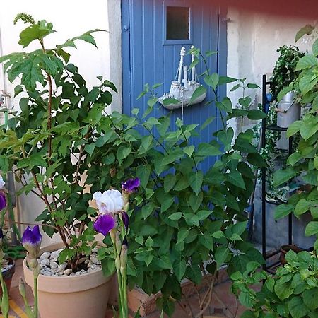 La Maison De St Victor Bed and Breakfast Saint-Victor-de-Malcap Εξωτερικό φωτογραφία