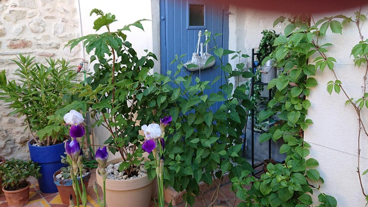 La Maison De St Victor Bed and Breakfast Saint-Victor-de-Malcap Εξωτερικό φωτογραφία